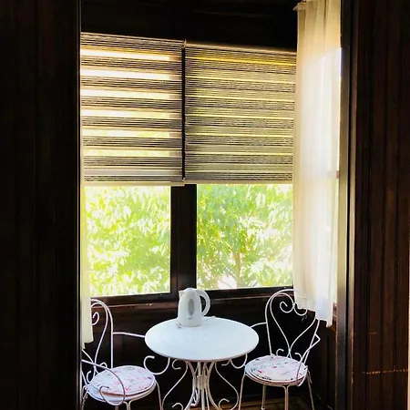 Pastor Historical The Gulf Of *